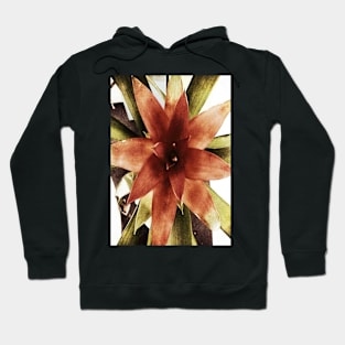 Star Plant Hoodie